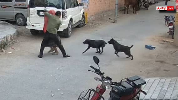 जोधपुर में आवारा कुत्तों का आतंक, सड़क पर चल रहे महिला-पुरुष पर किया हमला, इलाके में दहशत