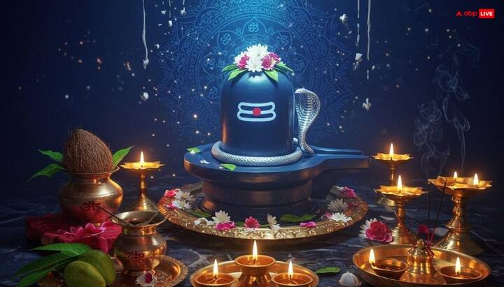 पौष अमावस्या को संध्या के समय में शिवलिंग पर कच्चे दूध और दही से अभिषेक करें. माना जाता है कि इससे आपके सारे बिगड़े हुए काम धीरे-धीरे बनने लगते हैं और धन संबंधी समस्याएं भी दूर होने लगती हैं.