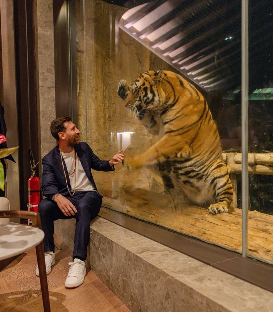 Messi Visits Vantara: వంతారాను సందర్శించిన లియోనెల్ మెస్సీ.. అదొక అద్భుతం, గ్రేట్ జాబ్ అని ప్రశంసలు