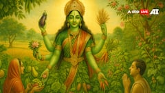 कब से कब तक मनाई जाएगी शाकंभरी नवरात्र? जानें तिथि, महत्व और पूजा विधि