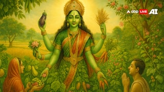 Shakambhari Navratri 2025: कब से कब तक मनाई जाएगी शाकंभरी नवरात्र?जानें तिथि,महत्व और पूजा विधि