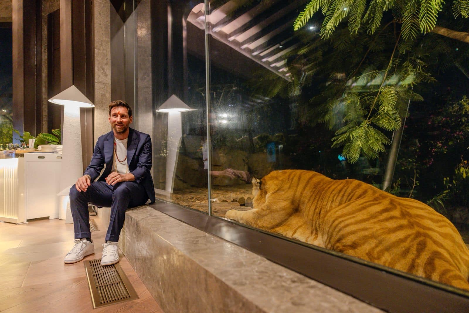 खरंच खूप सुंदर...', लिओनेल मेस्सीकडून वनताराचं कौतुक, मेस्सीनं दिलं पुन्हा भारत दौऱ्यावर येण्याचं आश्वासन