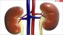 Early Kidney Failure Signs: किडनी फेल्योर के ये 7 लक्षण अक्सर लोग कर देते हैं इग्नोर, नेफ्रोलॉजिस्ट ने बताए बचने के तरीके