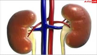 Early Kidney Failure Signs: किडनी फेल्योर के ये 7 लक्षण अक्सर लोग कर देते हैं इग्नोर, नेफ्रोलॉजिस्ट ने बताए बचने के तरीके