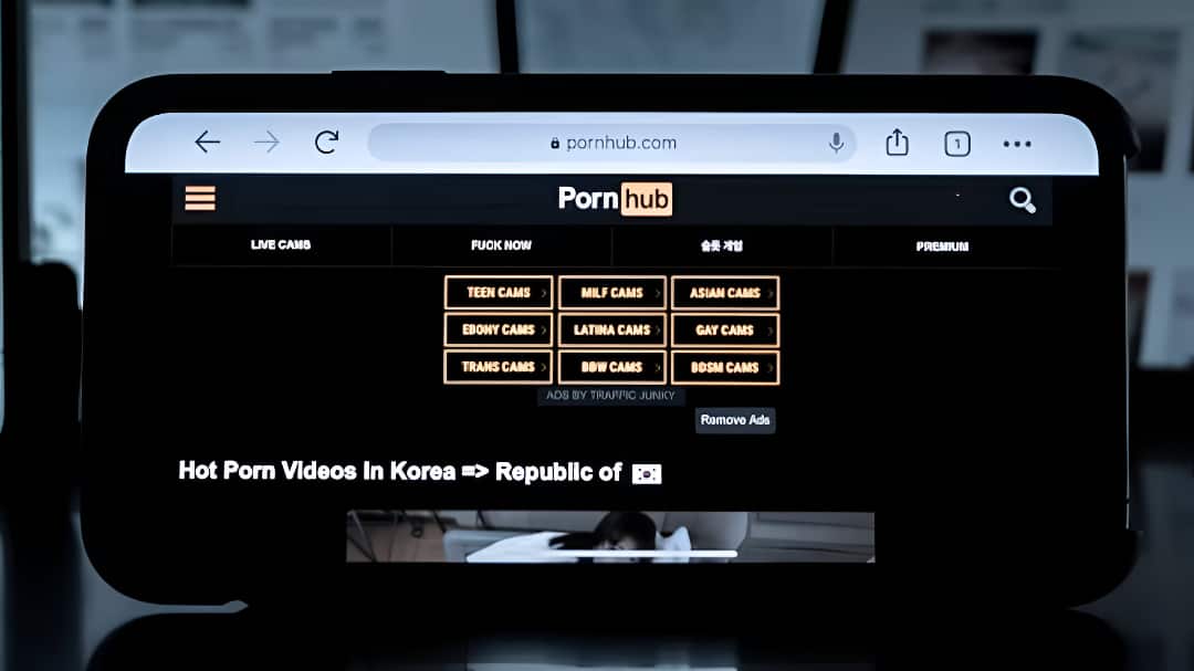 Pornhub Users’ Emails & Watch History Allegedly Leaked: Hackers Claim 200 Million Records