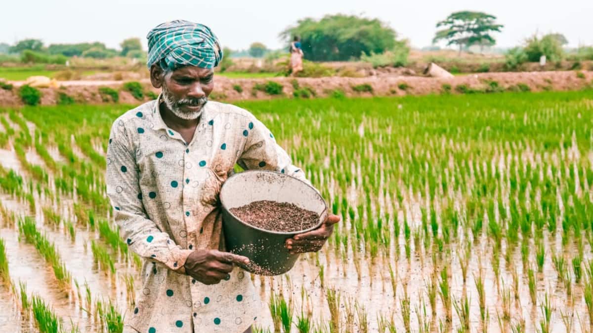 What’s VB–G RAM G Bill? Centre’s Plan To Replace MGNREGA Explained