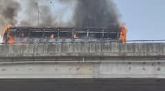 नाशिकमध्ये थरार! उड्डाण पुलावर धावत्या एसटी बसला भीषण आग,क्षणार्धात धुराचे काळे लोट; मोठा अनर्थ टळला