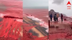 ঢেউয়ের রং দুধে আলতা, বালুতট একেবারে রক্তবর্ণ, প্রকৃতির ‘ভয়ঙ্কর সুন্দর’ রূপ ভাইরাল, ঠিক কী ঘটছে ইরানের উপকূলে?