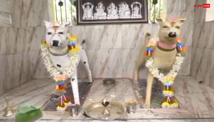 कहा जाता है कि गांव के किसी व्यक्ति के सपने में आकर देवी ने कुत्तों को वहां लाने के लिए कहा, लेकिन काफी ढूंढने के बाद भी वे कुत्ते नहीं मिले. ऐसे में गांव वालों ने कुत्तों की मूर्ति वहां स्थापित कर दी और पूजा करने लगे.