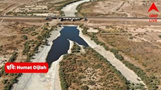 Science News: প্রাচীন সভ্যতার জন্মদাত্রী, এখন পায়ে হেঁটেই পেরনো যায়, বিলুপ্তির পথে ইরাকের টাইগ্রিস নদী