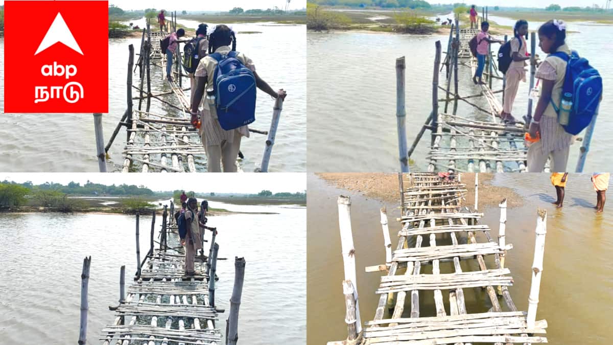 பள்ளி மாணவர்களின் உயிருக்கு உலைவைக்கும் மூங்கில் பாலம்: பள்ளி மாணவர்கள் தினசரி மரணப் போராட்டம்...