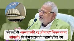 माणिकराव कोकाटेंची आमदारकी रद्द होणार? नियम काय सांगतो? विधीमंडळातही घडामोडींना वेग
