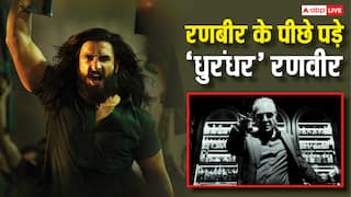 Dhurandhar Box Office Day 13: 'धुरंधर' ने रणवीर सिंह वर्सेज रणबीर कपूर कर दिया, साफ-साफ दिख रहा