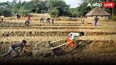 Expert View: मनरेगा की जगह 'जी राम जी', आखिर क्यों मचा बवाल? एक्सपर्ट से जानें इससे आखिर क्या बदलेगा