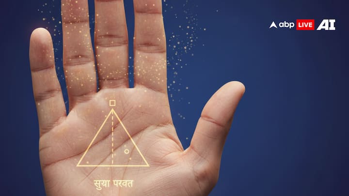 धन त्रिकोण के अन्य संकेत त्रिकोण के भीतर छोटे चिन्ह जैसे त्रिकोण, वर्ग या वृत्त और अधिक धन योग का संकेत देते हैं. यह न केवल वर्तमान संपत्ति बल्कि भविष्य में आर्थिक वृद्धि और व्यवसायिक सफलता का संकेत देता है. इस चिन्ह से व्यक्ति जोखिम भरे निर्णय भी सुरक्षित और संतुलित तरीके से ले सकता है.