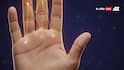 Palmistry: हथेली की ये लकीरें बना सकती हैं आपको करोड़पति, जानिए धन त्रिकोण और सूर्य पर्वत का रहस्य!