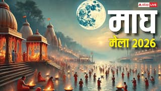Magh Mela 2026: 3 जनवरी से माघ मेला शुरू, VIDEO में देखें भव्य तैयारी