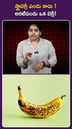 స్ట్రాబెర్రీ పండు కాదు ! అరటిపండు ఒక బెర్రీ!