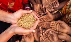 Ration card: તમે ઘરે બેઠા પણ રાશન કાર્ડ KYC  ઓનલાઈન કરી શકો, જાણો શું છે સરળ પ્રોસેસ