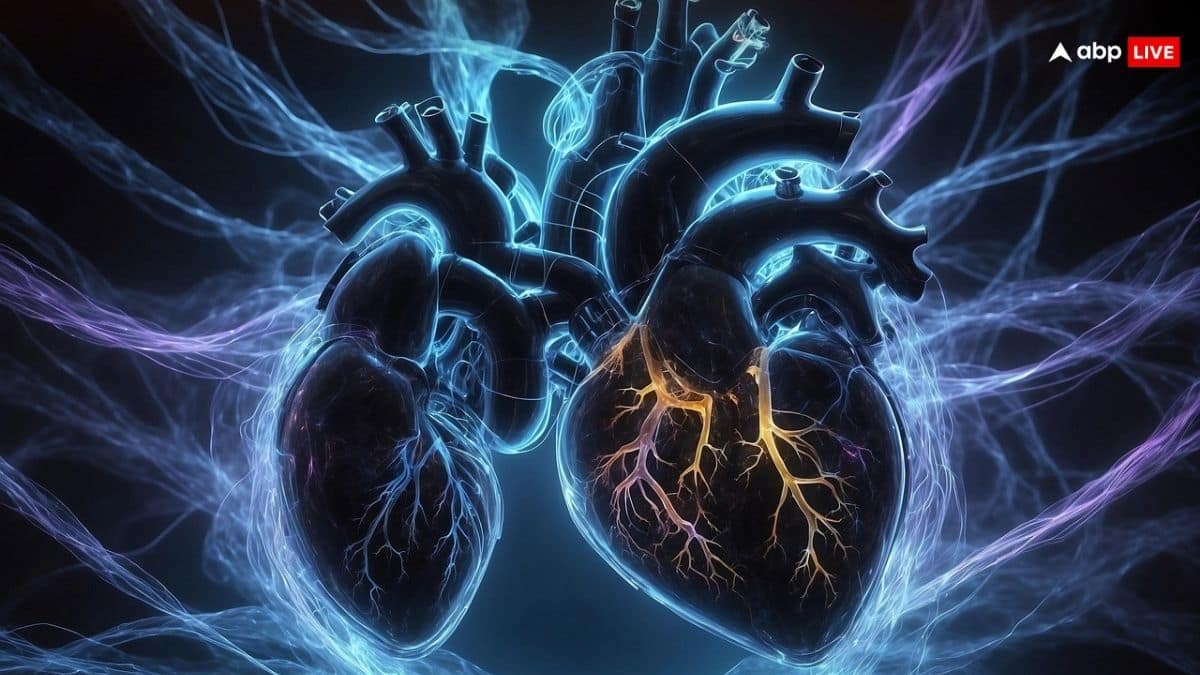 मुस्लिम देशों में बेचे जा रहे भारतीयों के अंग, NIA के हलफनामे में खुलासा- अमीरों का किया गया किडनी ट्रांसप्लांट