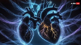 मुस्लिम देशों में बेचे जा रहे भारतीयों के अंग, NIA के हलफनामे में खुलासा- अमीरों का किया गया किडनी ट्रांसप्लांट