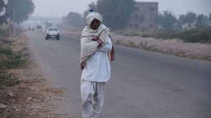 देशासह राज्याततील अनेक भागात तापमानाचा पारा घसरला आहे. राज्यातील अनेक भागात सध्या थंडी (Cold Weather) वाढताना दिसत आहे.