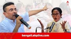 'এত সবে ব্রেকফাস্ট, এরপরে তো শুনানি চলবে, ১ মাস ধরে..' ! SIR ইস্যুতে মুখ্যমন্ত্রীকে নিশানা শুভেন্দুর