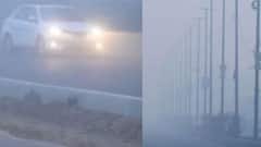 Punjab Weather: पंजाब में अभी जारी रहेगा कोहरा, धुंध से राहत दे सकती है बारिश, जानें मौसम की ताजा अपडेट