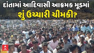 Banaskantha Trible Protest : પાડલિયામાં આદિવાસી-પોલીસ વચ્ચે ઘર્ષણનો કેસ , શું ઉચ્ચારી ચીમકી?