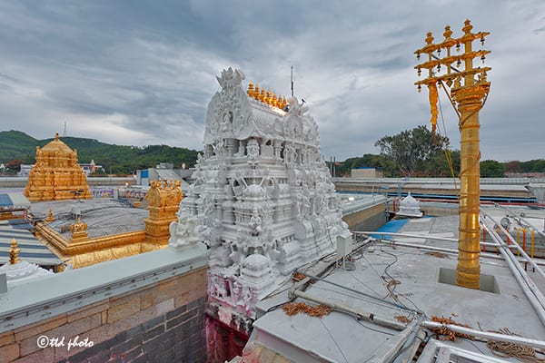 Tirumala News: తిరుమల శ్రీవారి ప్రసాదం తింటే కడుపునొప్పి వస్తుందా? ఎవరీ థామస్ మన్రో?