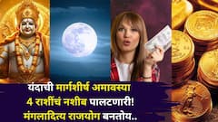 आजची मार्गशीर्ष अमावस्या 4 राशींचं नशीब पालटणारी! पॉवरफुल मंगलादित्य योगानं पैसा अन् दुप्पट प्रगती, कोणत्या राशी मालामाल होणार?