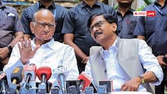 महाराष्ट्र नगर निगम चुनाव: शरद पवार और अजित पवार गुट के बीच होगा गठबंधन? संजय राउत का बड़ा बयान