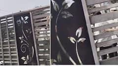 Chhatrapati Sambhajinagar Crime News: 'कानून हमारें हाथ में है'; महिलांनी हात जोडून गयावया केली, पण गुंड घाव घालत होते, ओव्हरगावच्या माजी सरपंचांचा टोळक्याने संपवलं,  घटनेचा व्हिडीओ समोर