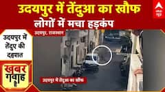 Rajasthan News: उदयपुर में दिखा तेंदुआ, वन विभाग की टीम ने पकड़ा तब लोगों ने ली राहत की सांस