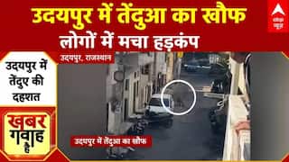Rajasthan News: उदयपुर में दिखा तेंदुआ, वन विभाग की टीम ने पकड़ा तब लोगों ने ली राहत की सांस