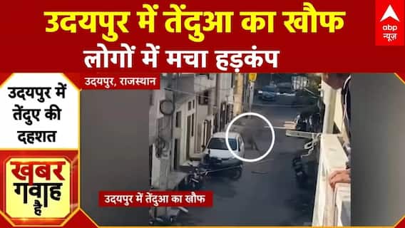Rajasthan News: उदयपुर में दिखा तेंदुआ, वन विभाग की टीम ने पकड़ा तब लोगों ने ली राहत की सांस