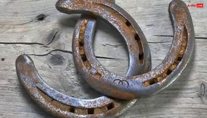 काश्वी (काल्पनिक नाम) के घर में आए दिन कोई न सदस्य बीमार रहता था, परिवार में सभी के नौकरी करने के बाद भी धन की कमी रहती थी, जैसे घर को बुरी नजर लग गई हो. ऐसे में काश्वी ने घर को बुरी नजर से बचाने के लिए मुख्य द्वार पर घोड़े की नाल टांग दी. आप भी अपने घर को बुरी नजर से बचाने के लिए नववर्ष में घोड़े की नाल मुख्य द्वार पर लटकाएं. कहते हैं इससे नकारात्मक ऊर्जा घर में प्रवेश नहीं कर पाती.