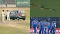 पिच पर कार, कभी सांप तो कभी उड़ने वाली चींटियां... क्रिकेट मैच रोके जाने के अजब-गजब कारण