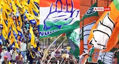 પંજાબ સ્થાનિક ચૂંટણીઓના પરિણામો: AAP એ 218 બેઠકો જીતી, ભાજપના સૂપડા સાફ, જાણો કૉંગ્રેસને મળી કેટલી બેઠકો