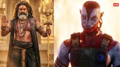 'अवतार फायर एंड ऐश' की रिलीज से पहले ही बुरा हुआ 'अखंडा 2' का हाल, जानें कमाई