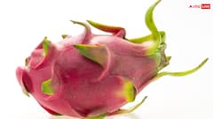 ये है किचन गार्डन में ड्रैगन फ्रूट उगाने का सबसे आसान तरीका, जान लें पूरा प्रोसेस