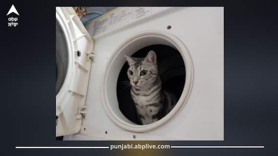 Viral News: ਵਾਸ਼ਿੰਗ ਮਸ਼ੀਨ ‘ਚ ਕੱਪੜਿਆਂ ਨਾਲ 10 ਮਿੰਟ ਤੱਕ ਘੁੰਮਣ ਦੇ ਬਾਵਜੂਦ ਬਚ ਗਈ ਬਿੱਲੀ, ਇਹ ਕਿਹੋ ਜਿਹਾ ਚਮਤਕਾਰ