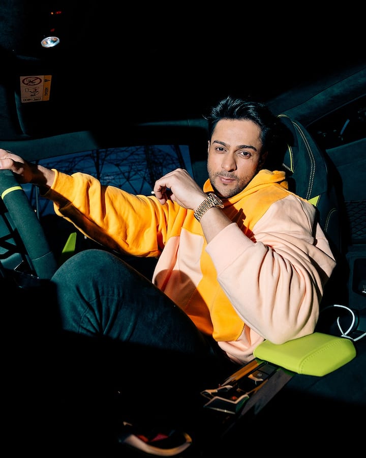 शालीन भनोट ने अब खुद इस मुद्दे पर खुलकर बात की है. एक्टर ने बताया है कि वो खुद दोबारा शादी करना चाहते हैं. इतना ही नहीं उनके परिवार और करीबी लोग भी यही चाहते हैं.