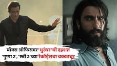 बॉक्स ऑफिसवर फक्त आणि फक्त 'धुरंधर'ची दहशत; 'पुष्पा 2', 'स्त्री 2'च्या रेकॉर्ड्सचा चक्काचूर, 14व्या दिवशी किती छापले?