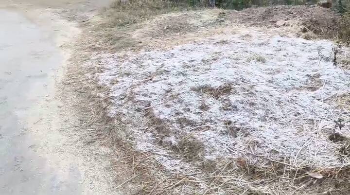 तापमानातील या तीव्र घसरणीचा सर्वाधिक परिणाम आदिवासी आणि ग्रामीण भागांमध्ये जाणवत आहे. पहाटे आणि रात्रीच्या वेळी थंडीचा जोर अधिक वाढत असल्याने नागरिकांना घराबाहेर पडणे कठीण होत आहे.