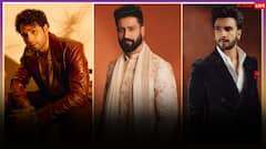 ना खान, ना ही कपूर बल्कि साल 2025 में इन सितारों ने किया बॉलीवुड पर राज