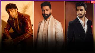 ना खान, ना ही कपूर बल्कि साल 2025 में इन सितारों ने किया बॉलीवुड पर राज