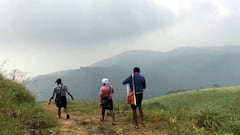 சபரிமலை: எரிமேலி வனப்பாதை பக்தர்களுக்கு தரிசனத்தில் முன்னுரிமை! தேவசம் போர்டு அதிரடி திட்டம்!