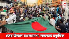 ওসমান হাদির মৃত্যুতে উত্তাল বাংলাদেশ, সীমান্তে কড়া প্রহড়া, এরই মধ্যে বড় বার্তা ভারতের?