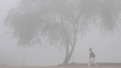 उत्तराखंड में बिछी घने कोहरे की सफेद चादर, कई जिलों में कोल्ड डे की चेतावनी, इस दिन होगी बारिश